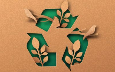 La stampa su carta riciclata: Vantaggi, caratteristiche, rispetto per l’ambiente